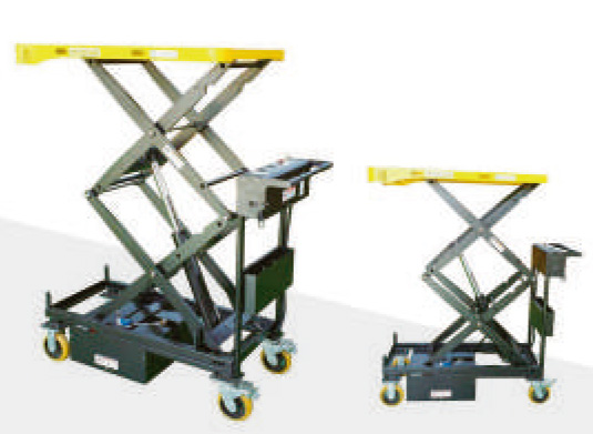 BML301